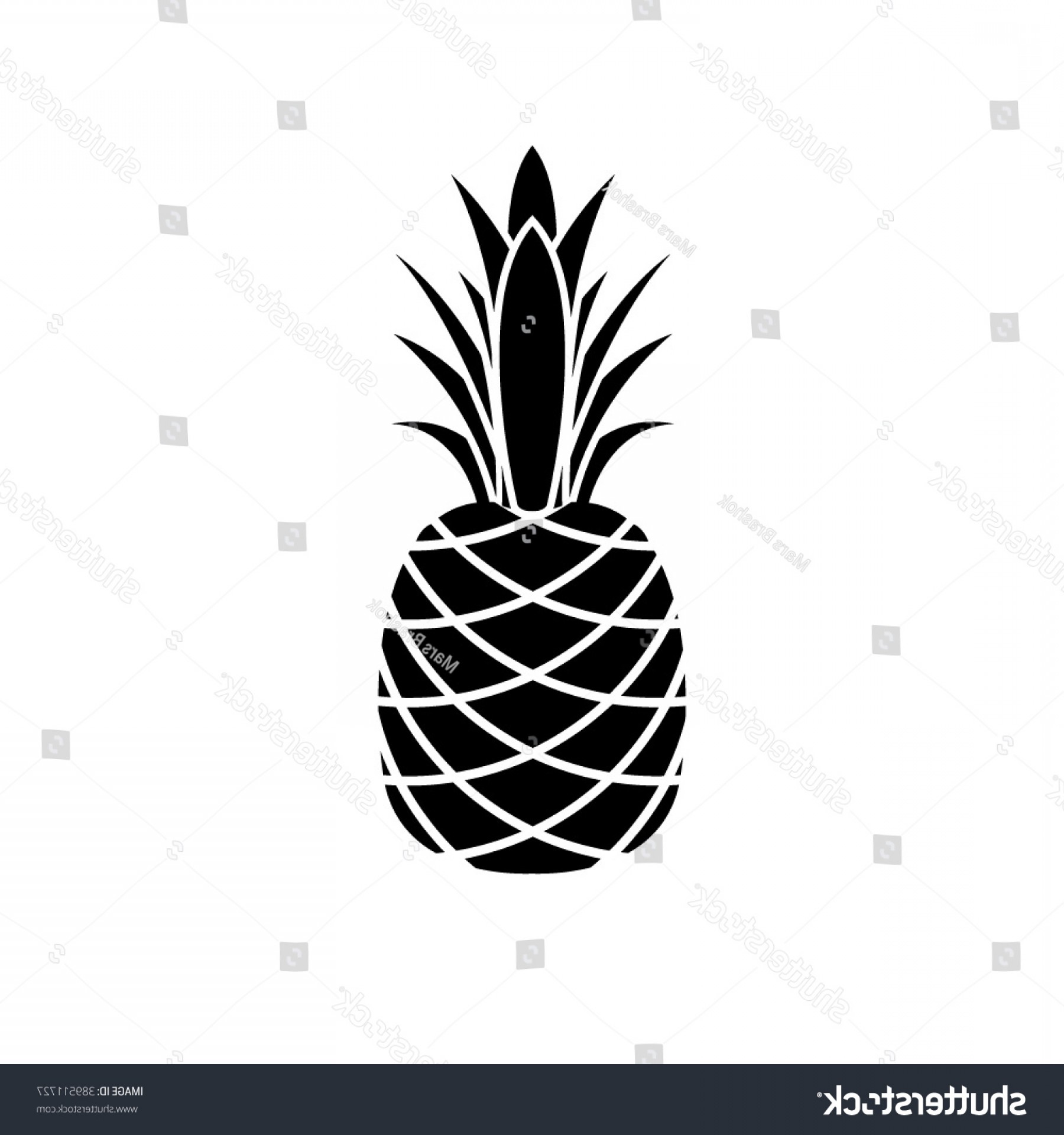 1800x1920 Tropical Fruit Vector Black And White Soidergi