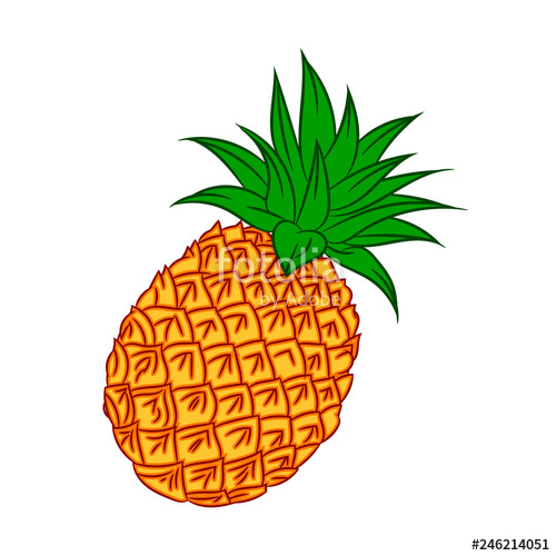 500x500 Illustration Of Fresh Fruit Pineapple, Vector Illustration Stock