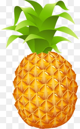 260x419 Pineapple Vector