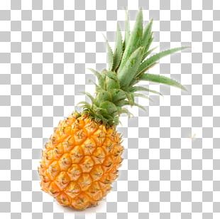 310x308 Pineapple Vector Png Images, Pineapple Vector Clipart Free Download