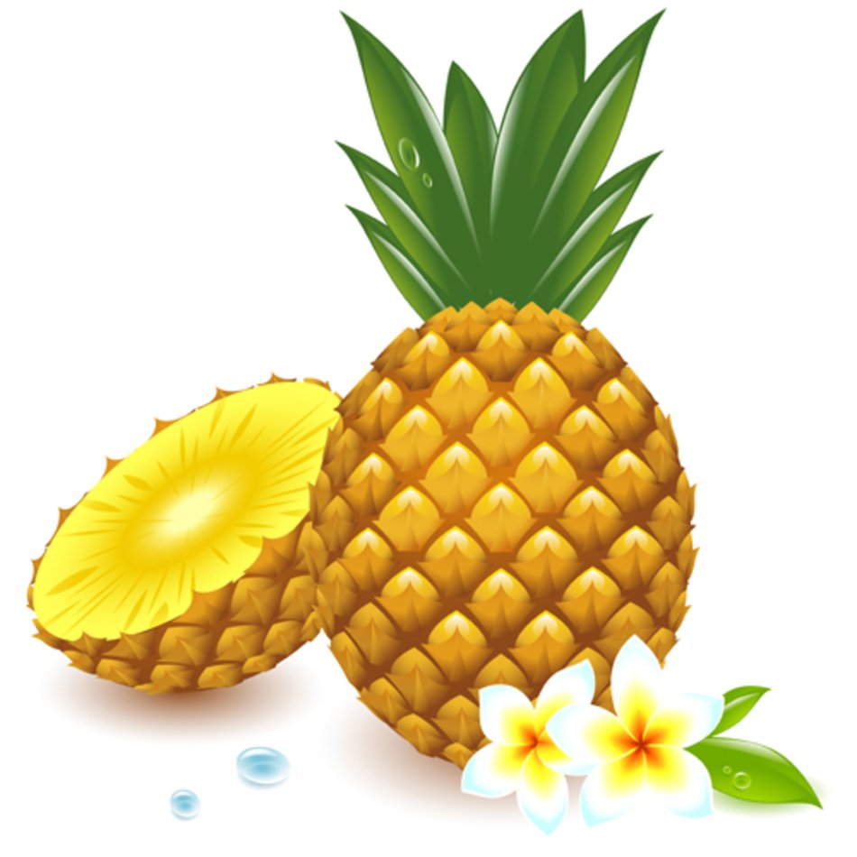 950x950 Free Fresh Pineapple Vector Graphic Download Free Image