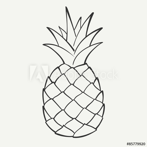 500x500 Outline Black And White Image Of A Pineapple Vector Graphics
