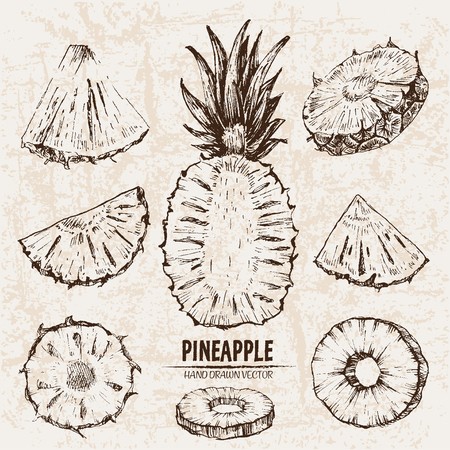 Pineapple Vector Outline