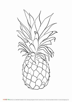 236x333 Pineapple Vector Free Beautiful Download The Royalty Free Vector