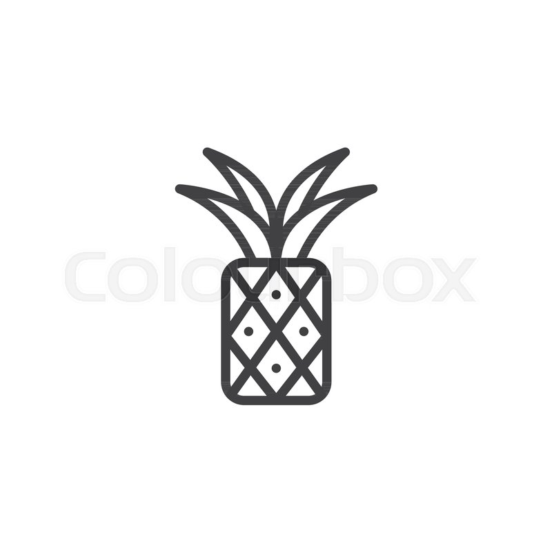 800x800 Pineapple Outline Icon Linear Style Stock Vector Colourbox