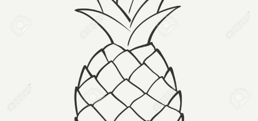 520x245 Pineapple Best Vector Download
