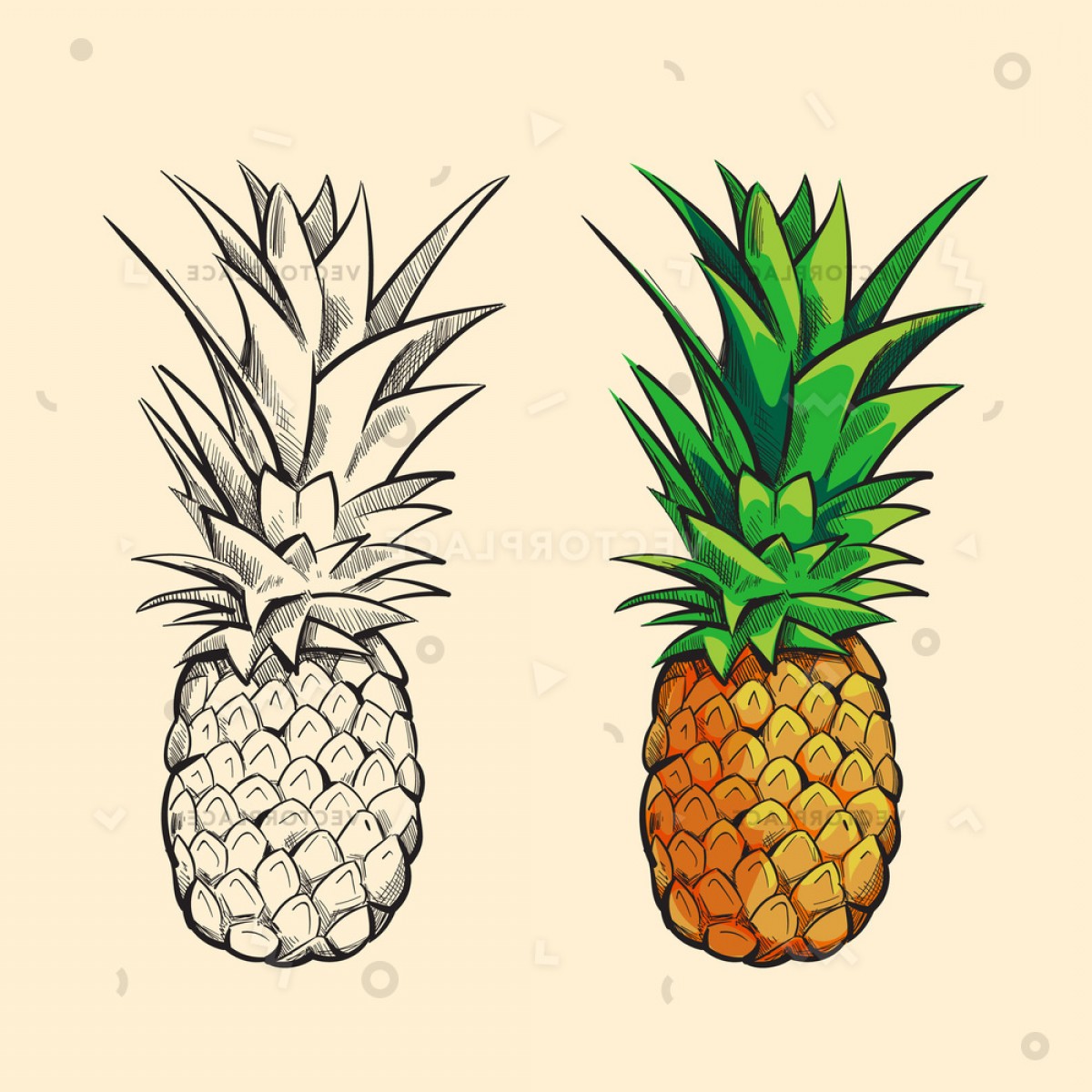 1200x1200 Pineapples Cartoon Vector Hoodamath