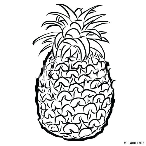 500x500 Outline Of A Pineapple
