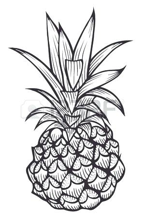 300x450 Outline Of A Pineapple