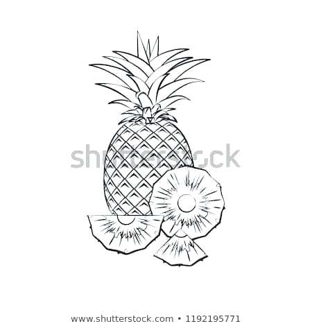 450x470 Outline Of A Pineapple