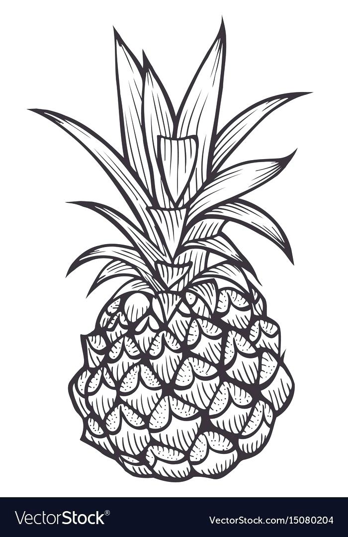 700x1080 Outline Of A Pineapple