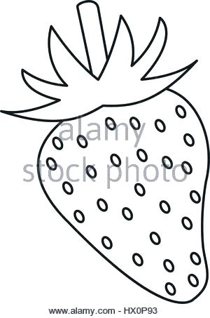 300x453 Outline Picture Of Pineapple