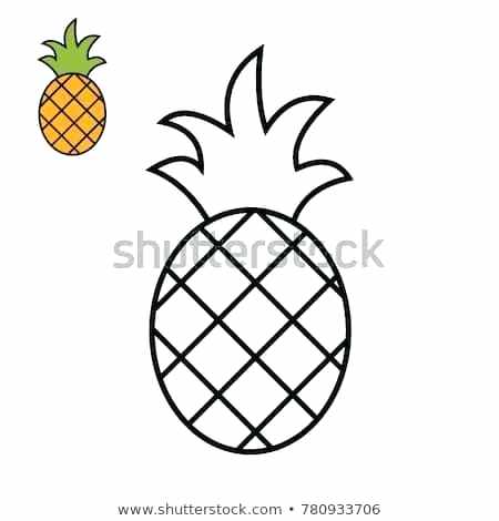 450x470 Pinapple Drawing Zupa