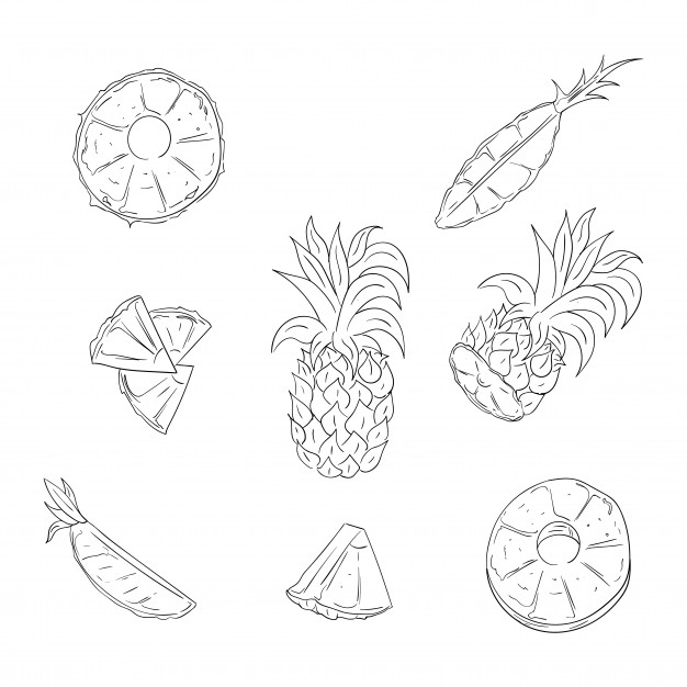 626x626 Pineapple, Whole And Sliced Outline Illustration Set Vector