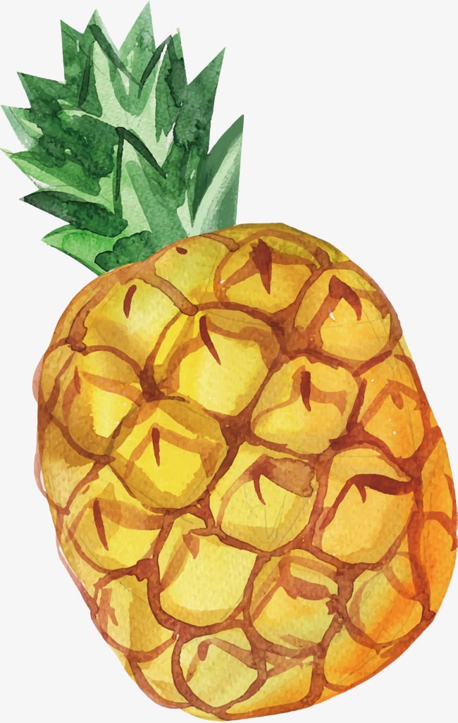 650x1026 Hand Painted Watercolor Pineapple, Vector Png, Pineapple