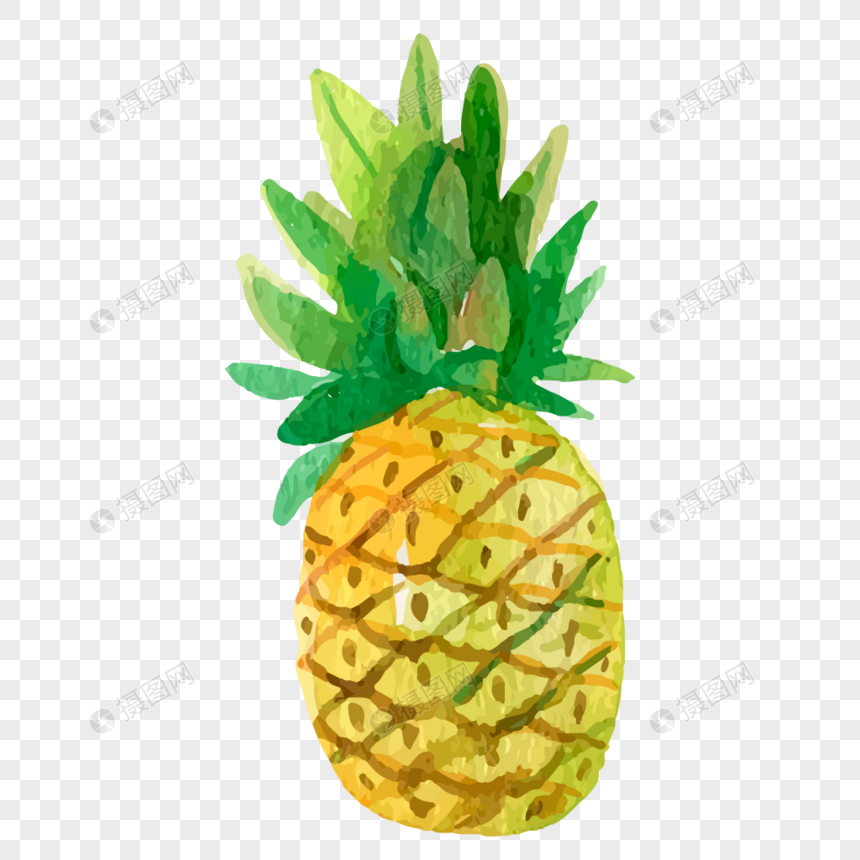 860x860 Hand Painted Pineapple Fresh Cartoon Vector Material Png