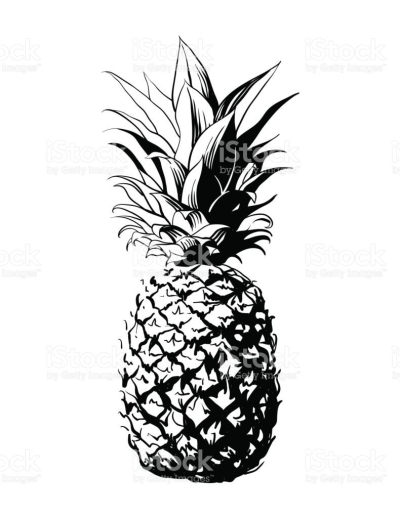 400x518 Image Result For Pineapple Vector Png