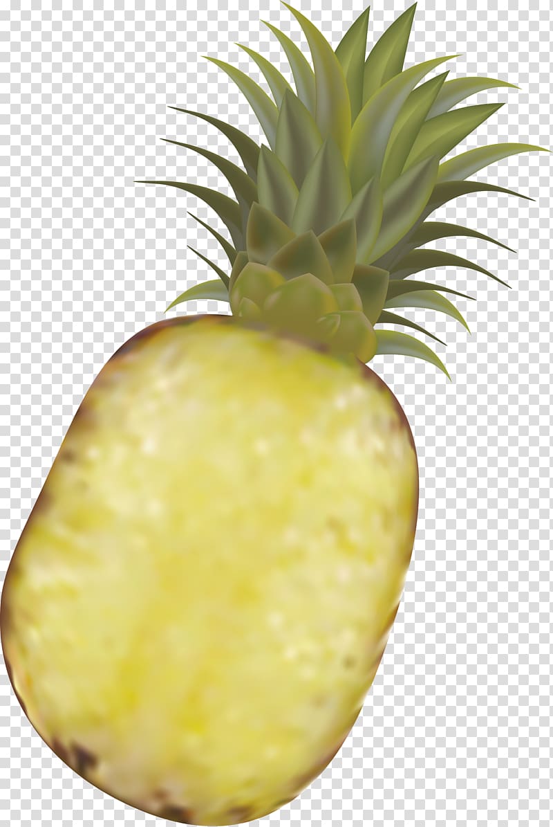 800x1195 Pineapple Fruit Pineapple Transparent Background Png Clipart