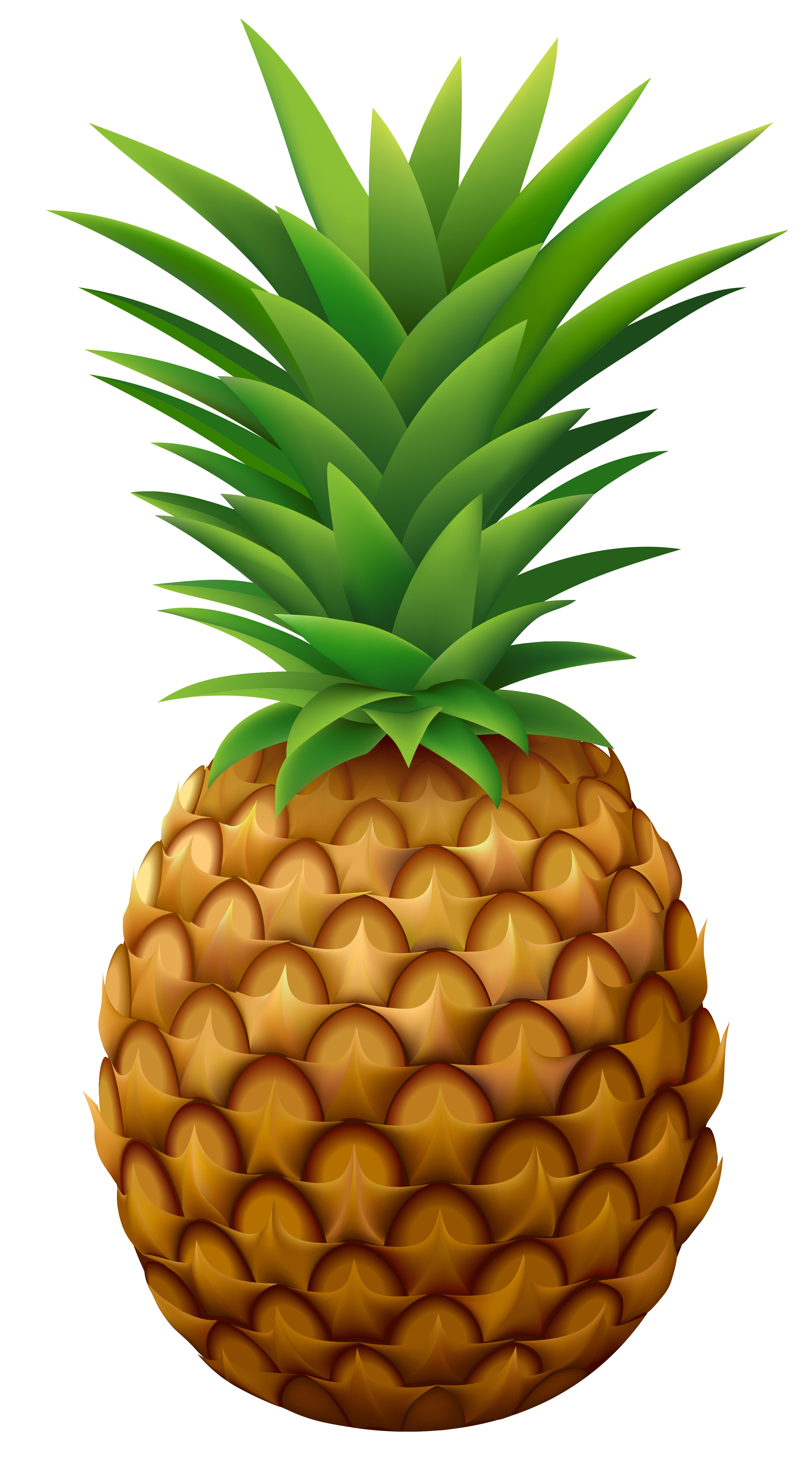 2646x4790 Pineapple Png Vector Clipart