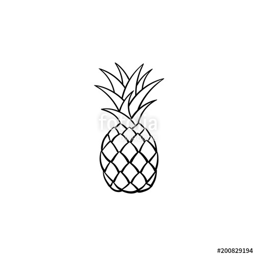 500x500 Pineapple Hand Drawn Outline Doodle Icon Vector Sketch
