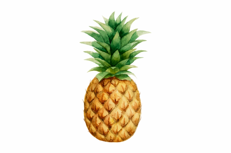 920x611 Prendadaeavo Pineapple Drawing, Pineapple Wallpaper