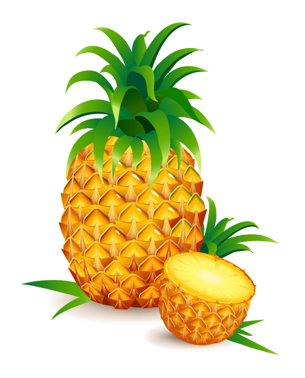 600x743 Realistic Pineapple Vector Thai Pineapple Clipart, Pineapple