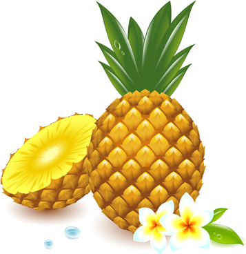 357x368 Spongebob Pineapple Vector Free Vector Download