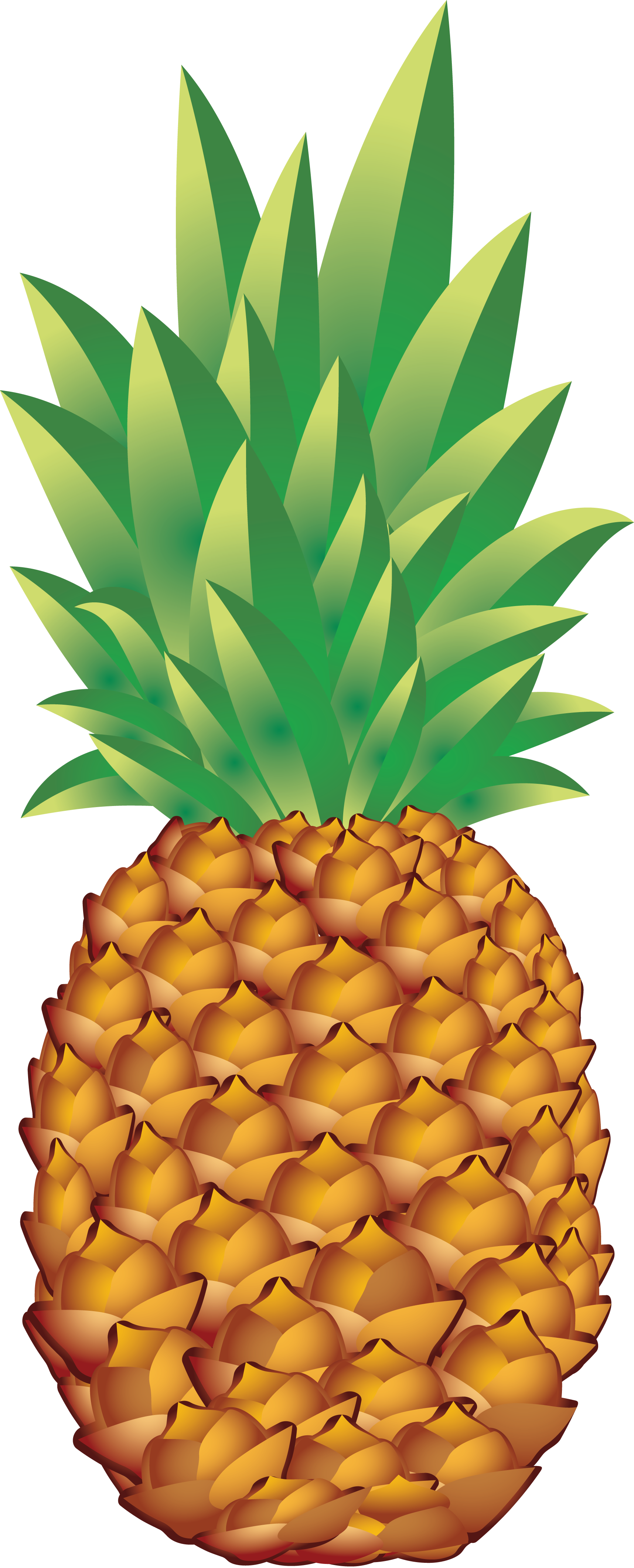 1716x4243 Tumblr Pineapple