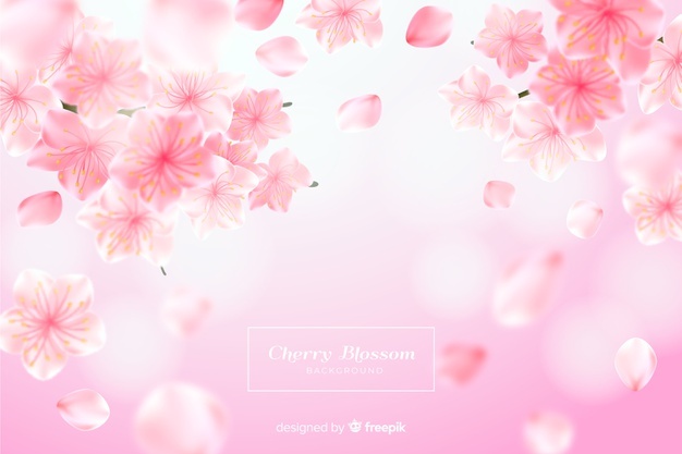 626x417 Pink Vectors, Photos And Free Download