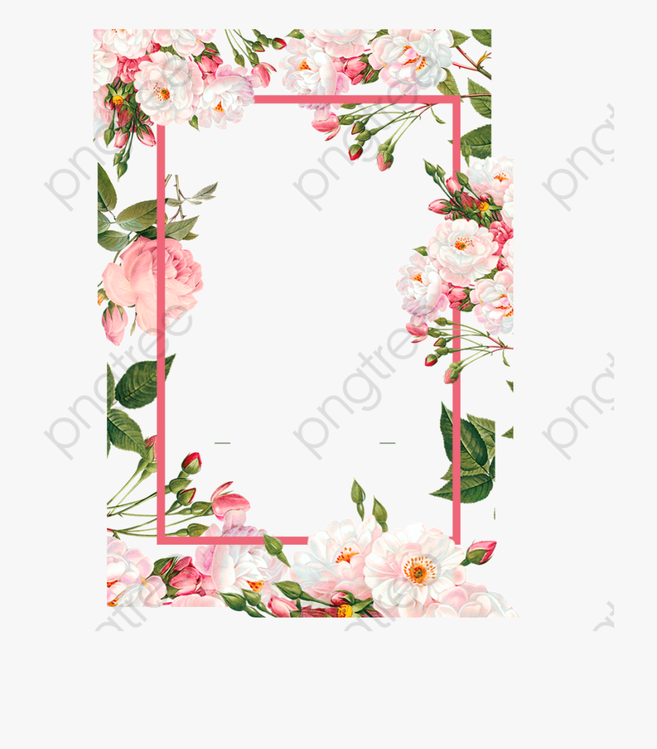 Pink Borders Color 920x1049 Pink Borders Color