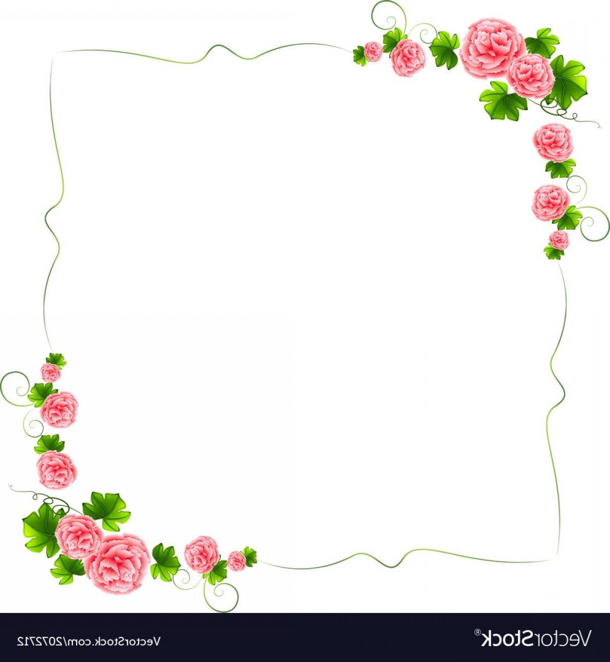A Border With Carnation Pink Flowers Vector Hoodamathrun 1194x1296 A Border With Carnation Pink Flowers Vector Hoodamathrun