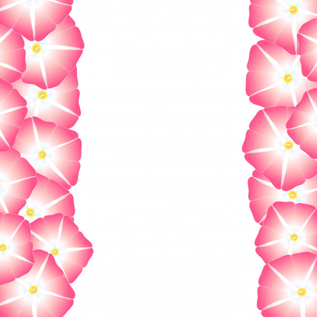 Pink Morning Glory Flower Border Vector Premium Download 626x626 Pink Morning Glory Flower Border Vector Premium Download