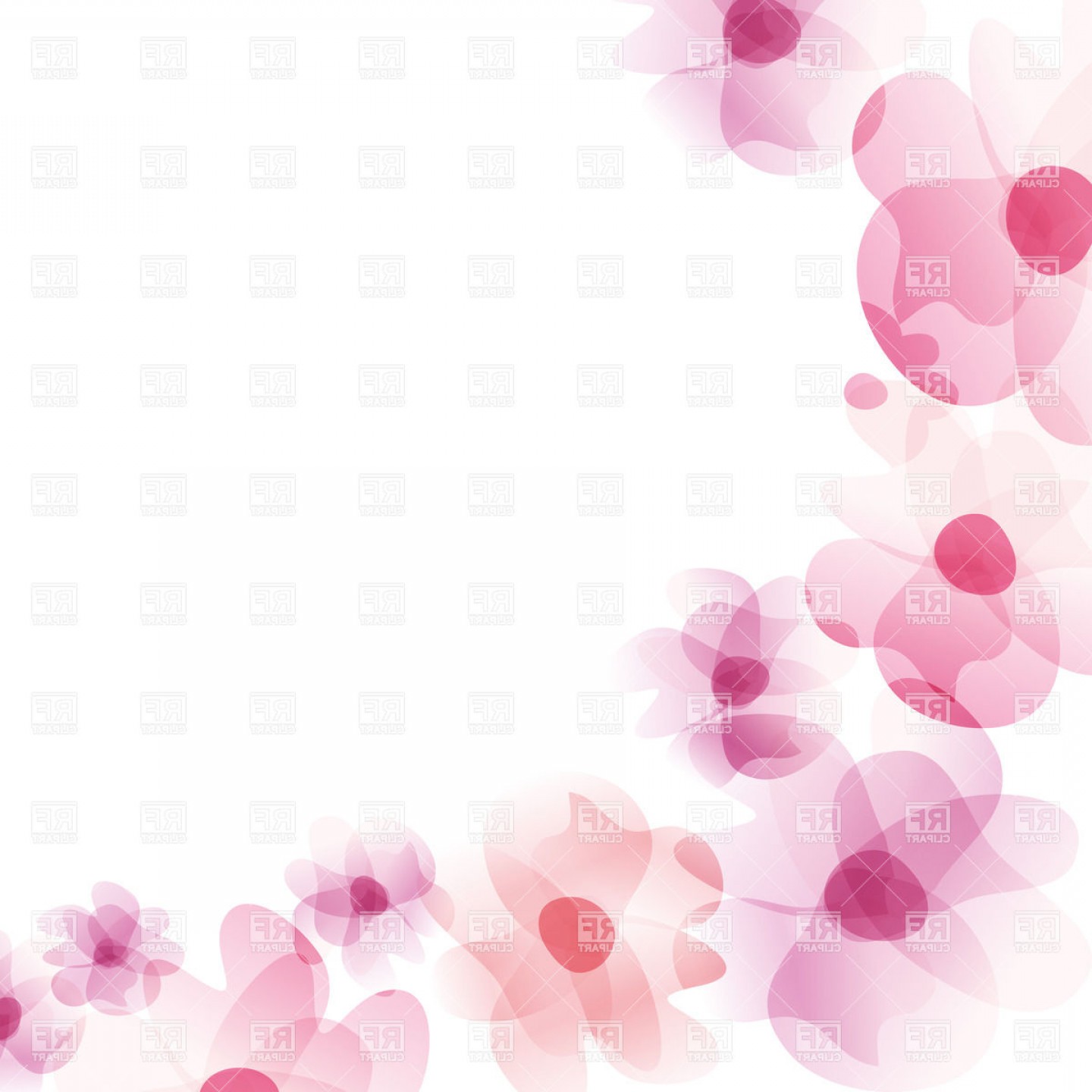 Transparent Flower Border Vector Catamart 1440x1440 Transparent Flower Border Vector Catamart