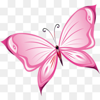 400x400 Pink Butterfly Png Images