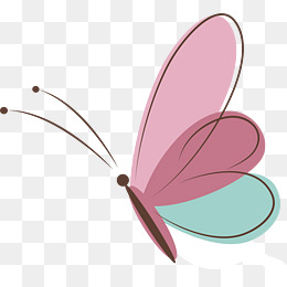 260x260 Pink Butterfly Vector, Antenna, Insect