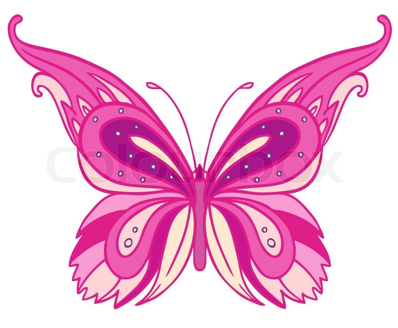 800x659 Pink Butterfly Isolated On White Stock Vector Colourbox