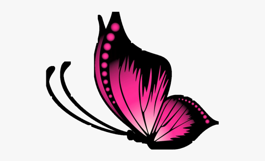 920x561 Butterfly Design Clipart Transparent Background