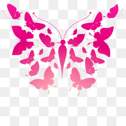 260x260 Butterfly Vector Png