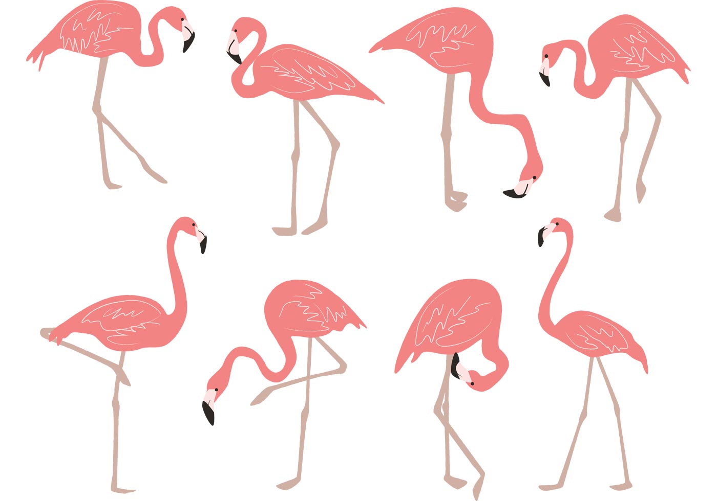 1400x980 Hand Drawn Flamingo Vectors