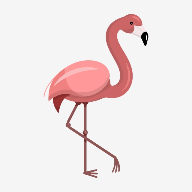 640x640 Pink Flamingo White Background, Clipart, Flamingo, Vector Png