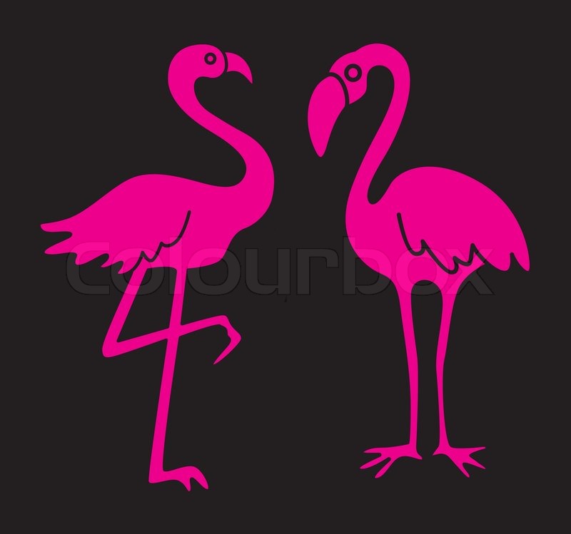 800x749 Pink Flamingo