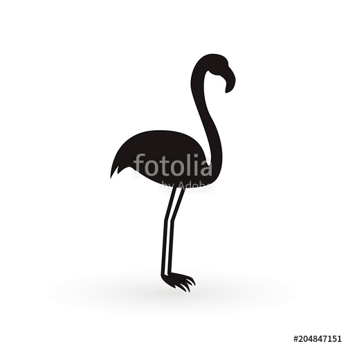 500x500 Pink Flamingo Vector Illustration Isolated On White Background