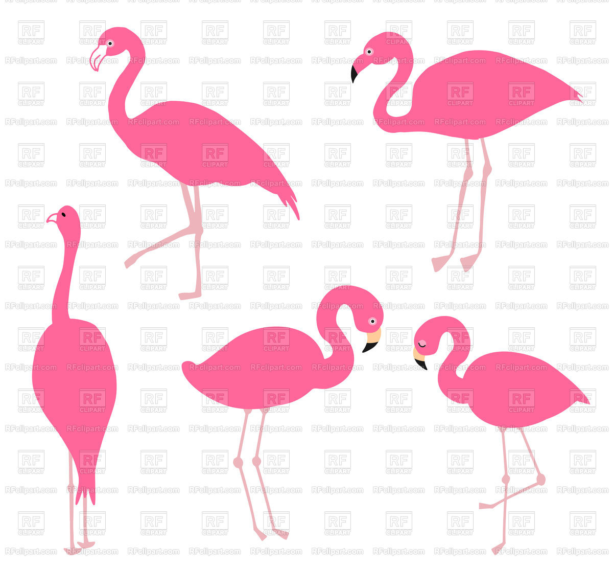 1200x1107 Pink Flamingo Set Vector Image Of Plants And Animals Mcherevan