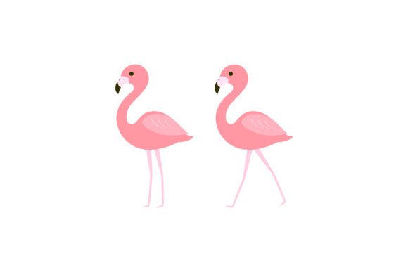 580x387 Pink Flamingo Vector Illustration Graphic