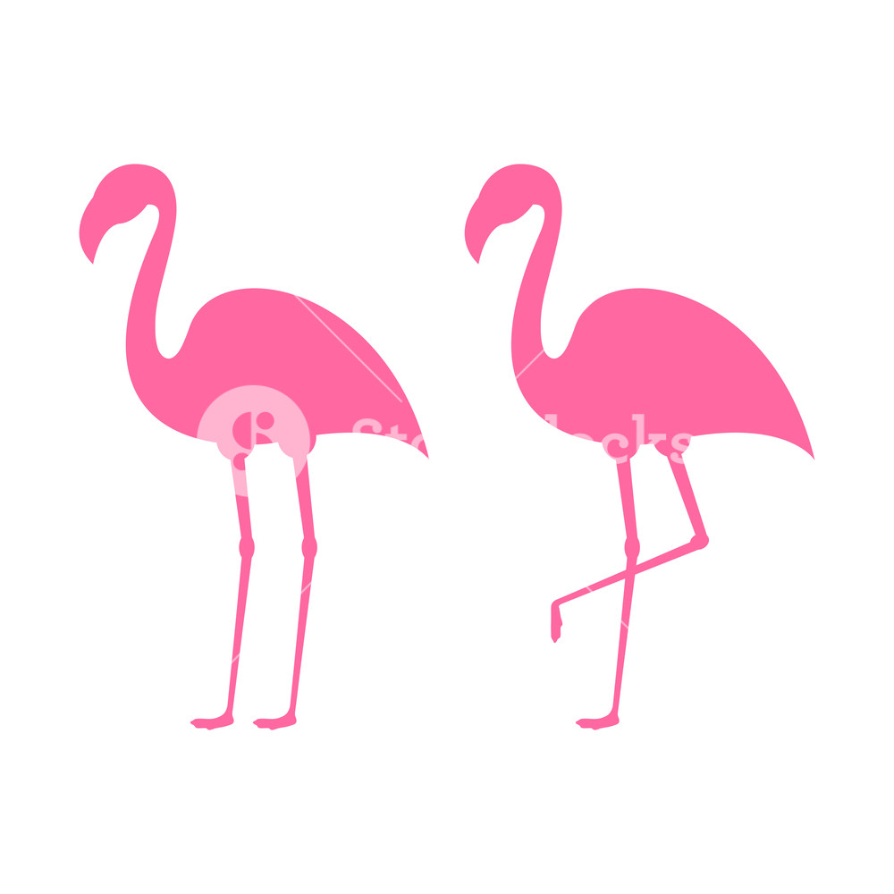 Pink Flamingo Vector at Vectorified.com | Collection of Pink Flamingo