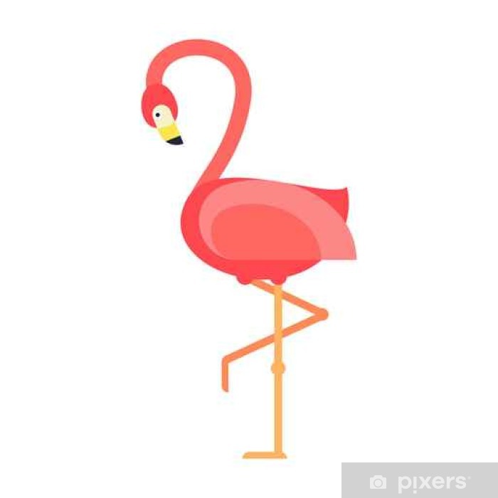 700x700 Cool Pink Flamingo Vector Illustration Wall Mural We
