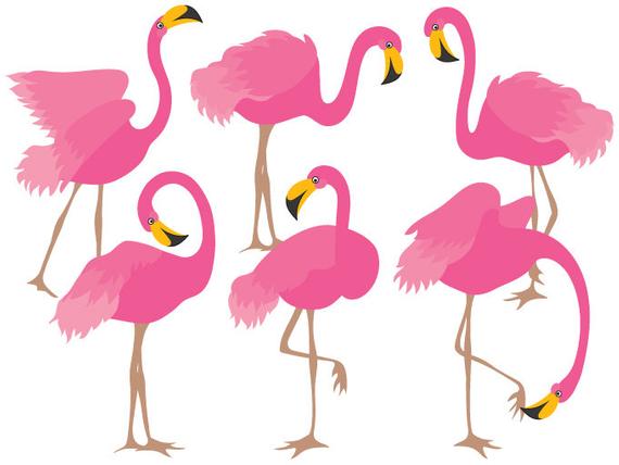Pink Flamingo Vector at Vectorified.com | Collection of Pink Flamingo ...