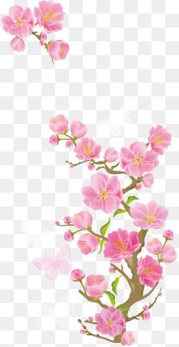 260x504 Floral Border Design, Pink, Floral Vector, Blossom Png Transparent