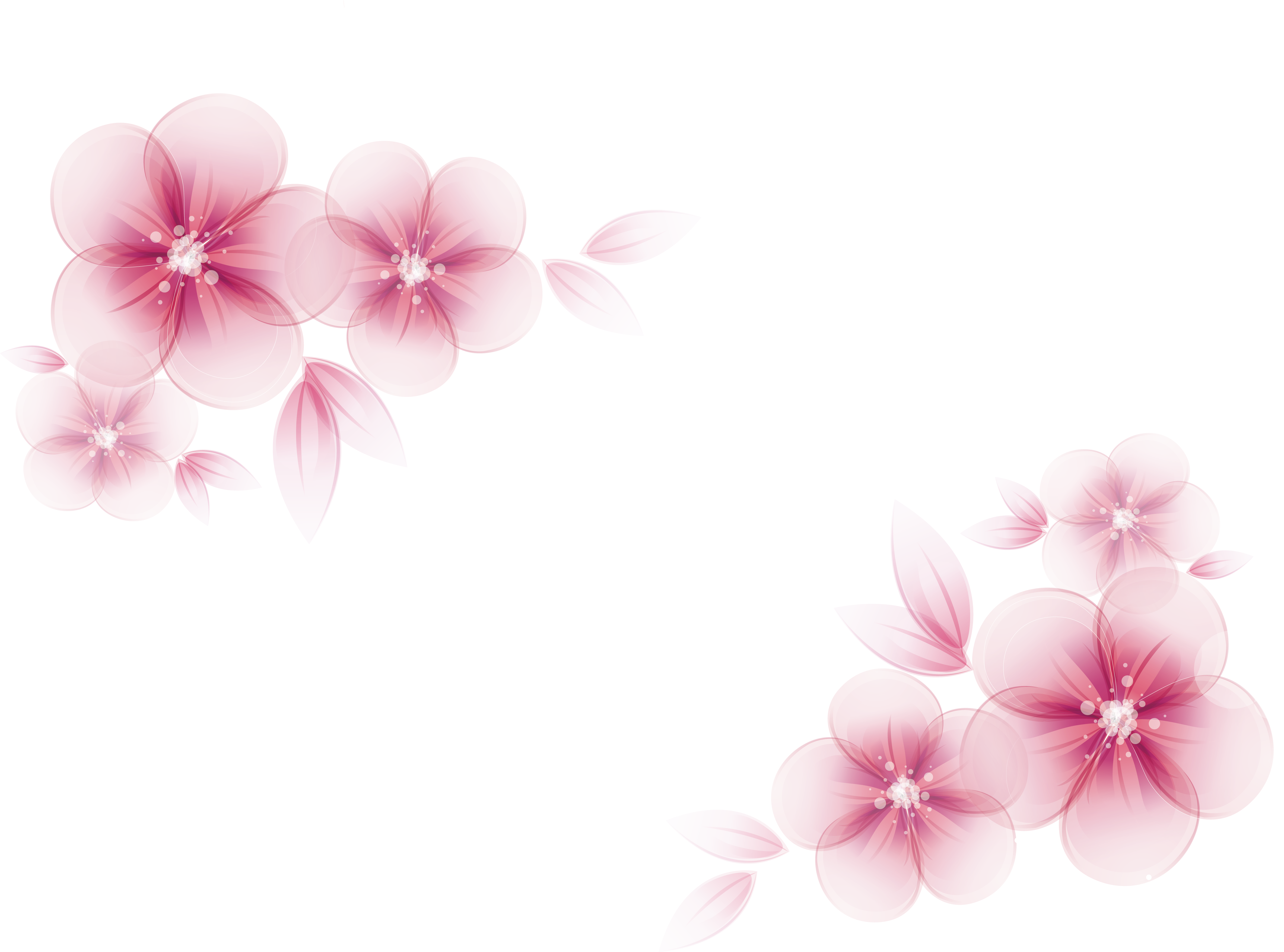 Free Vector Flower Download Free Vector Flower Png Im - vrogue.co