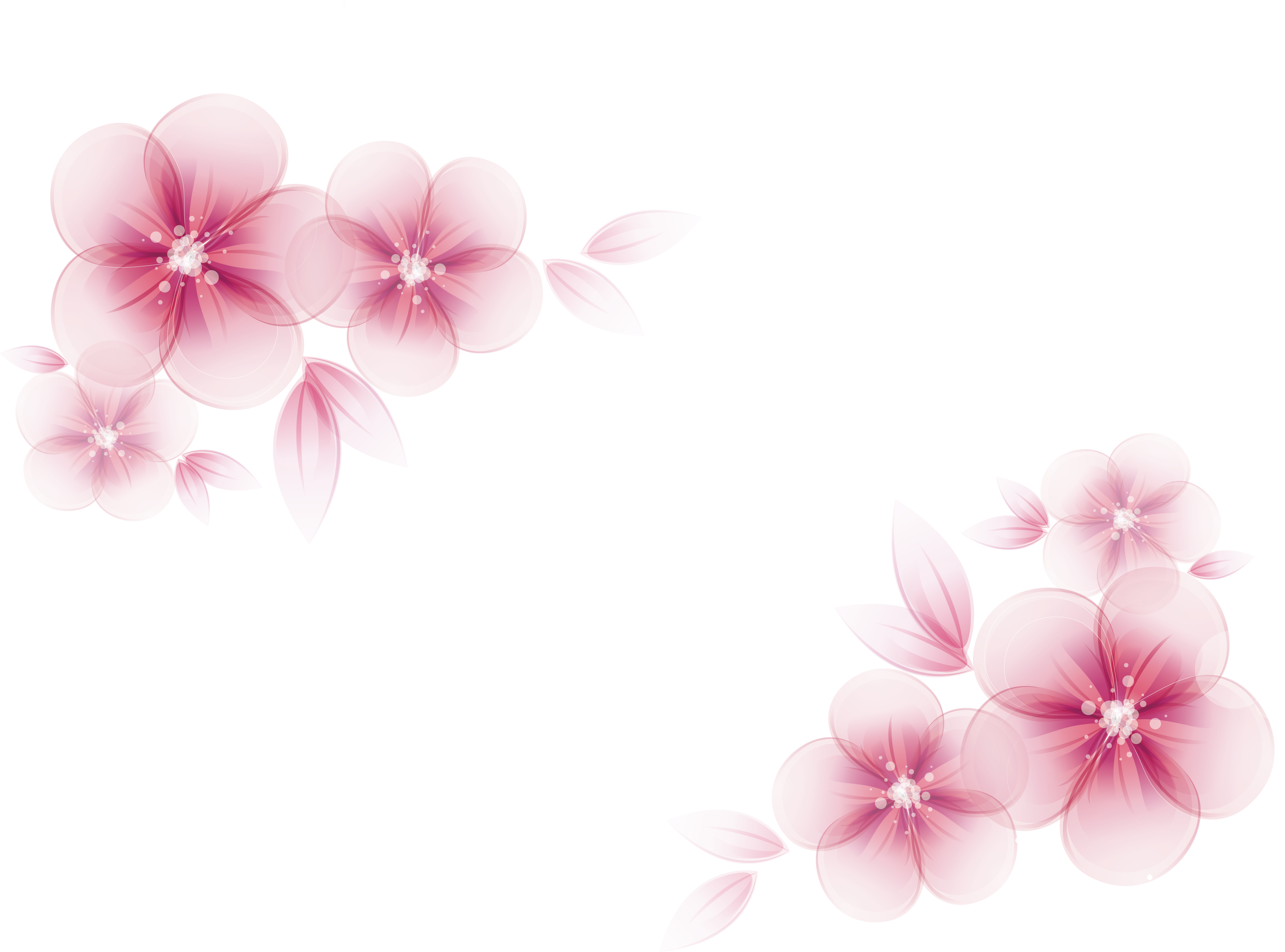 Pink Flower Vector At Collection Of Pink Flower Vector Free For Personal Use